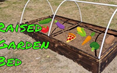 Powerful DIY Guide: Build a Raised Garden Bed with a Hinged Netting Top (Part 2)